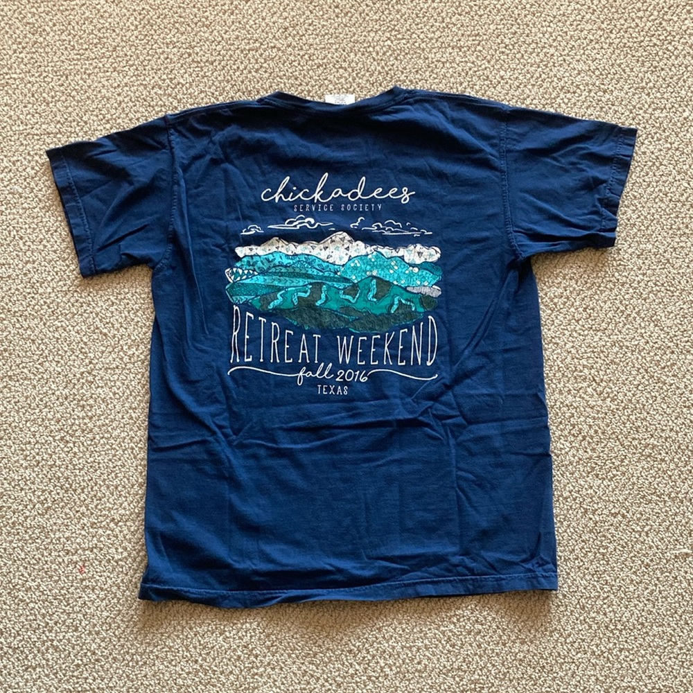Comfort Colors Mountain Range Abstract Blue Teal Chickadees T-Shirt Medium EUC